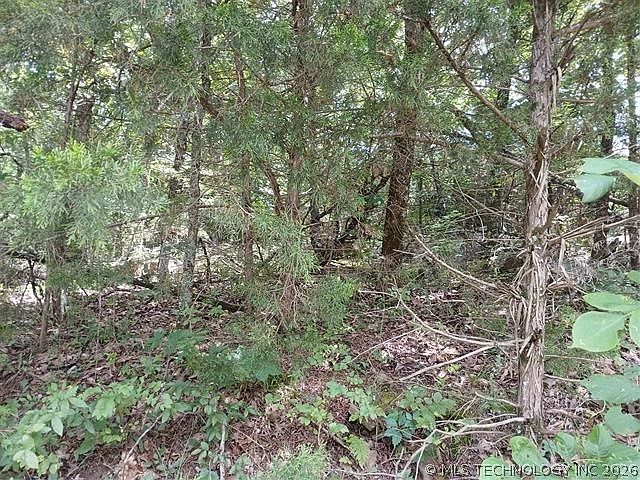 1st image of County Road 1170