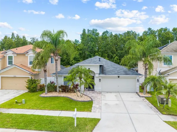 25354 Geddy Dr, Land O Lakes, FL 34639