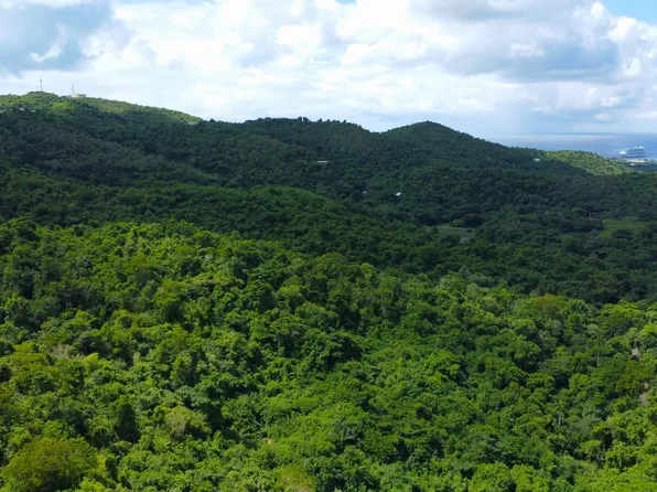 33 Orange Grove WE, St. Croix, VI 00840