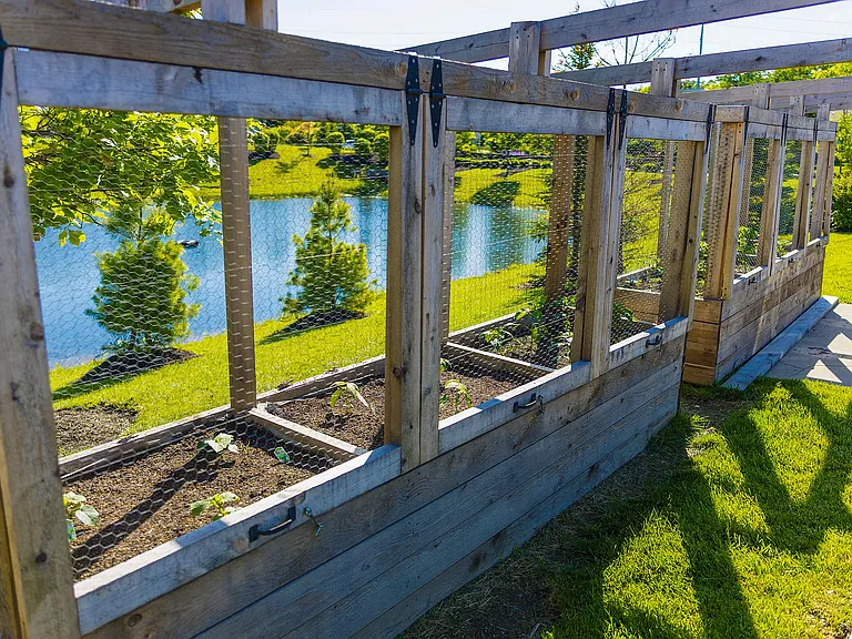 Community Garden