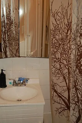 Rented by Citi Habitats | media 17