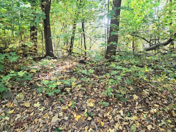 Lt TIPPECANOE TRAIL, Elkhorn, WI 53121