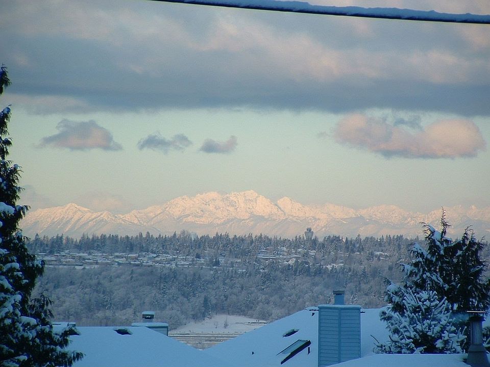 Front Yard Olympic view