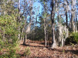 7217 Cardinal St, Florahome, FL 32140