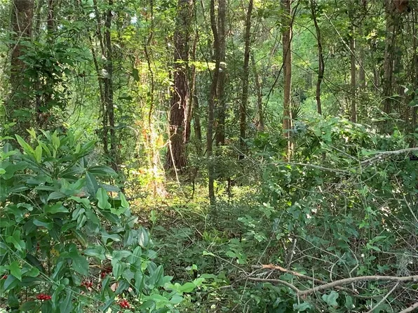NW 44th Ave Lot 3, Gainesville, FL 32606