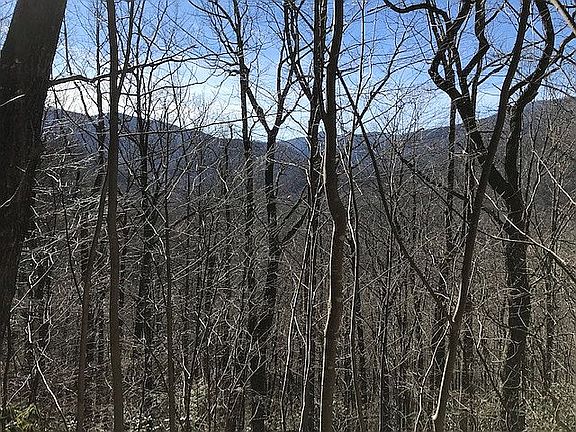 3rd image of 1013 Big Ridge Rd
