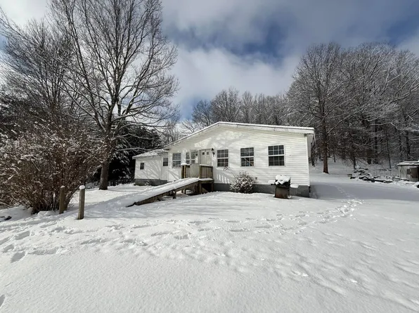 50 Charles St, Craigsville, WV 26205