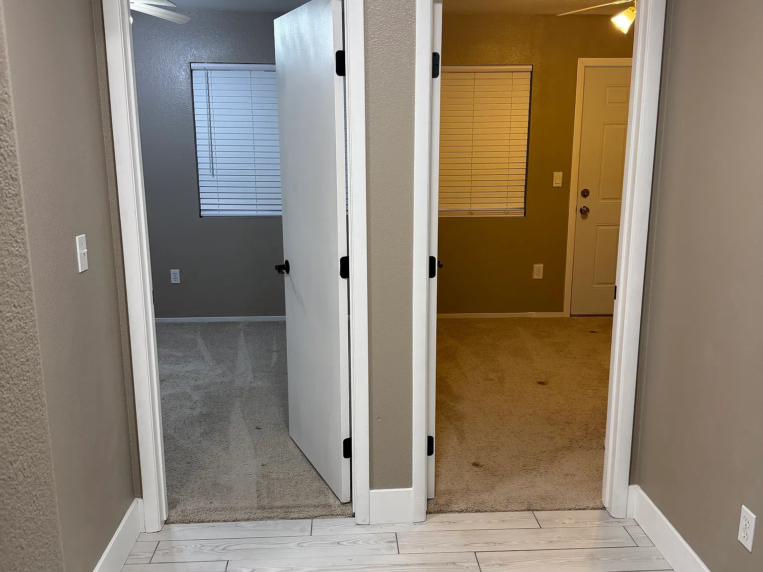 Studio, 300 sqft, $1,250 — Photo 2