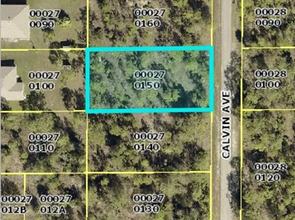 1405 Calvin Ave, Lehigh Acres, FL 33972