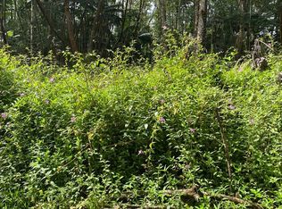 Shell Cir LOT 815, Pahoa, HI 96778