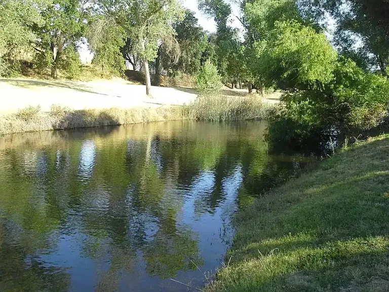 Fisher Dr — Photo 6