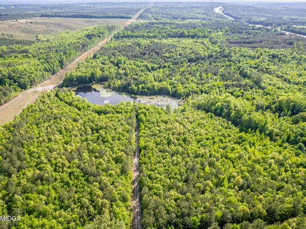 21701 Us Highway 441, Mc Intyre, GA 31054