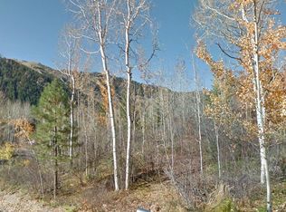 McSkimming Rd, Apsen, CO 81611