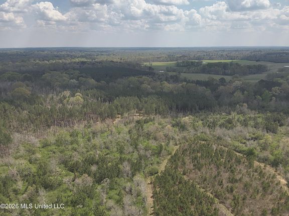 2nd image of 3194 James Rd