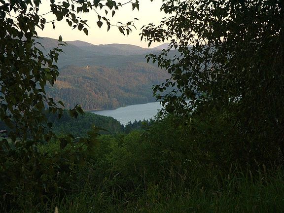 Riffe Lake view from property