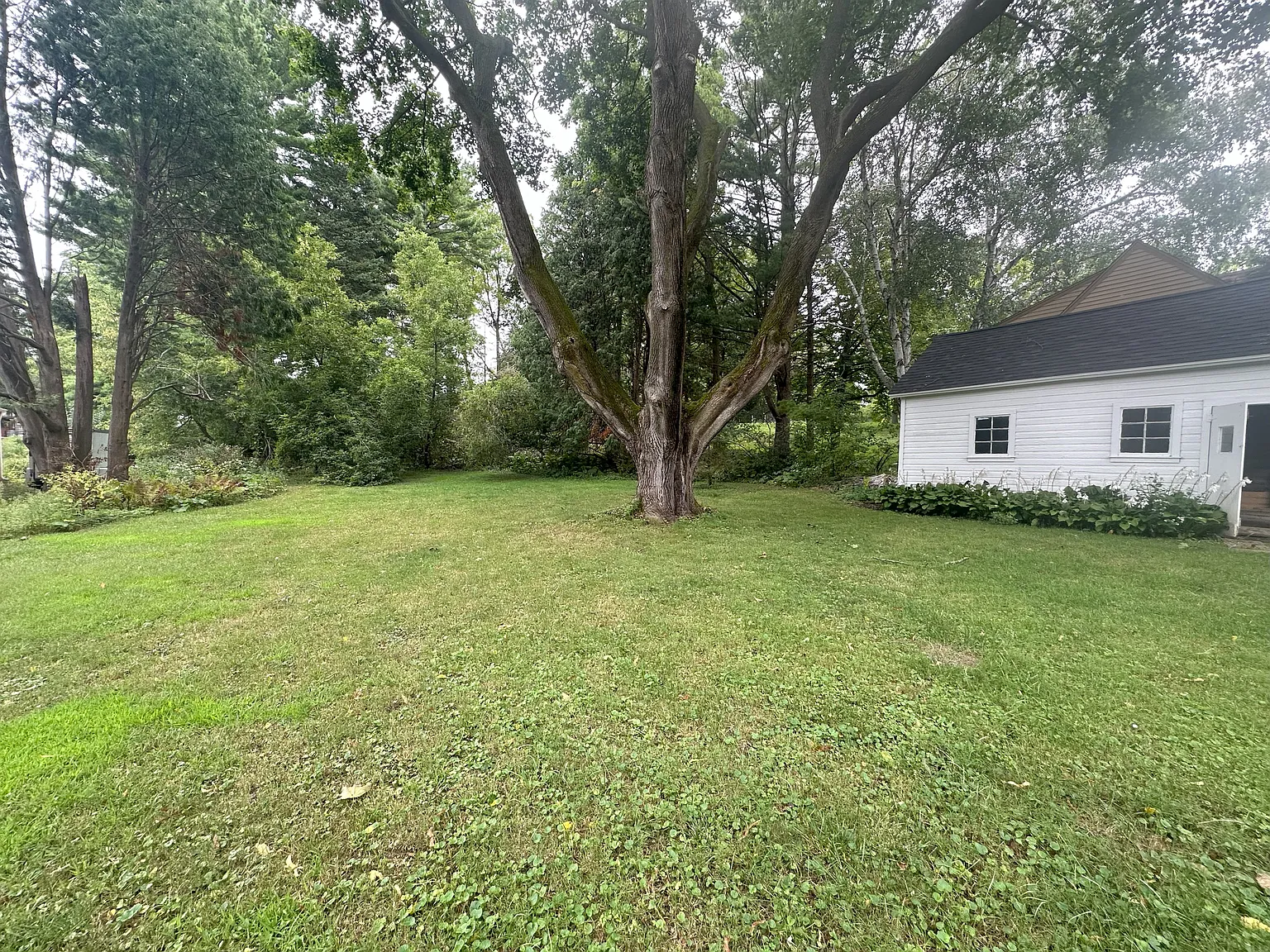 2 bed, 1070 sqft, $2,200 — Photo 3