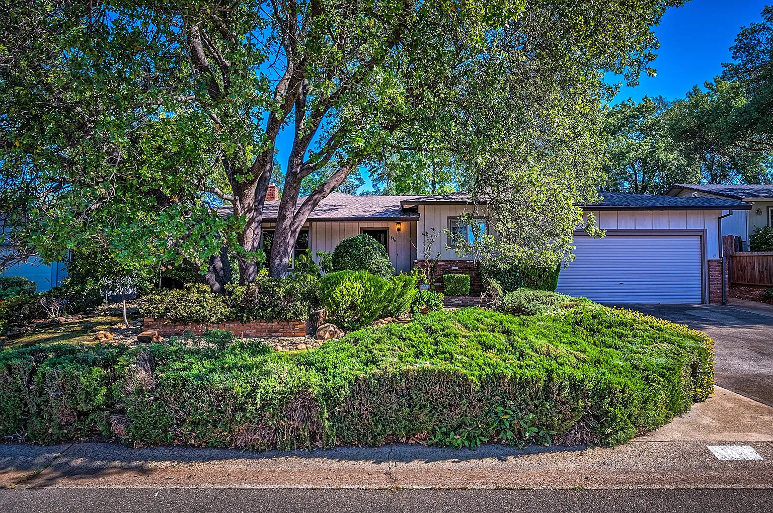 1816 Manchester Dr photo 1