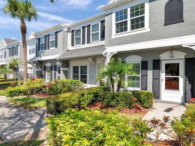 297 Countryside Key Blvd, Oldsmar, FL, 34677