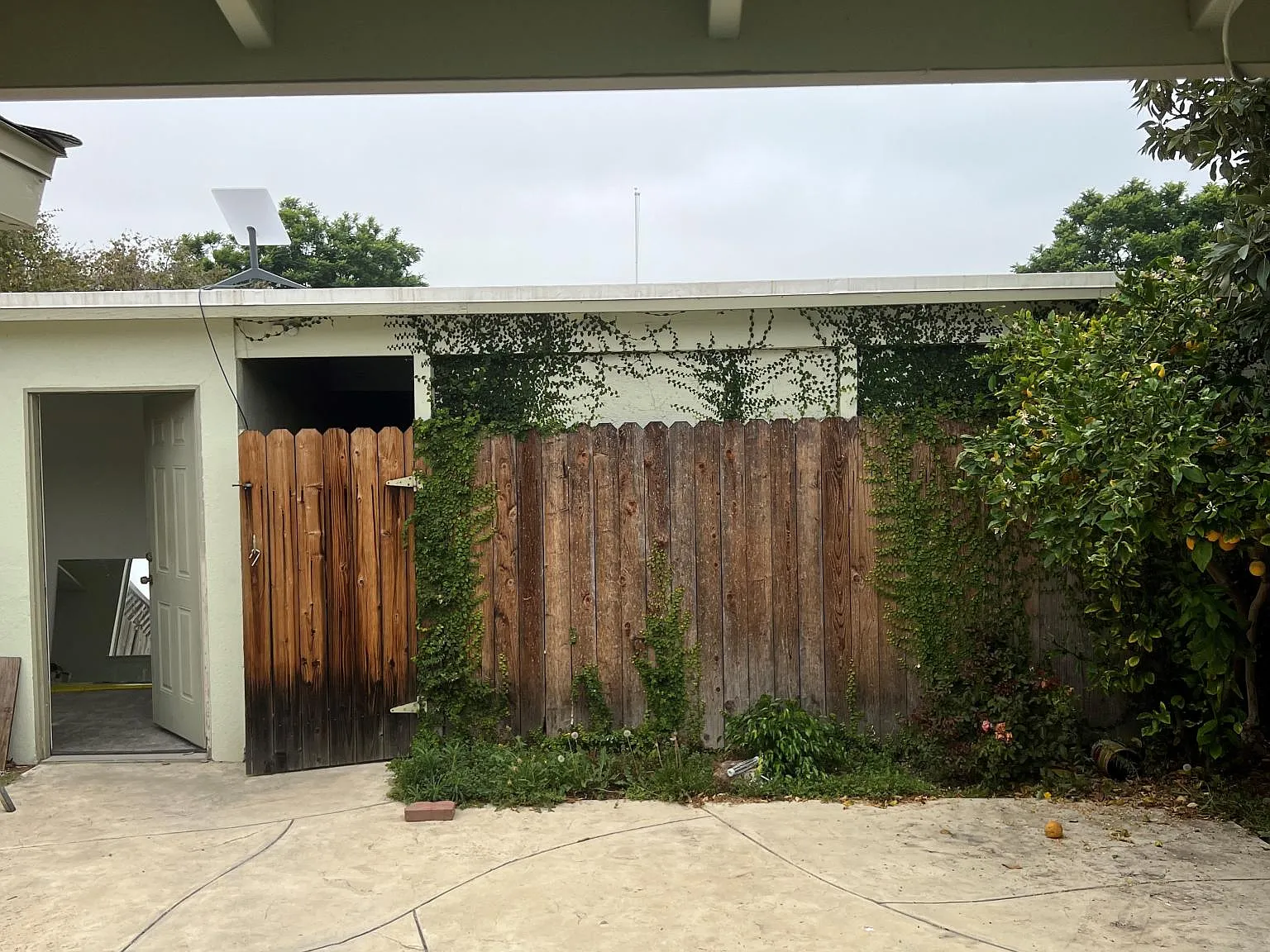 2 bed, 892 sqft, $2,600 — Photo 4