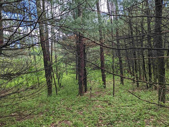2nd image of LOT 20 9th Dr