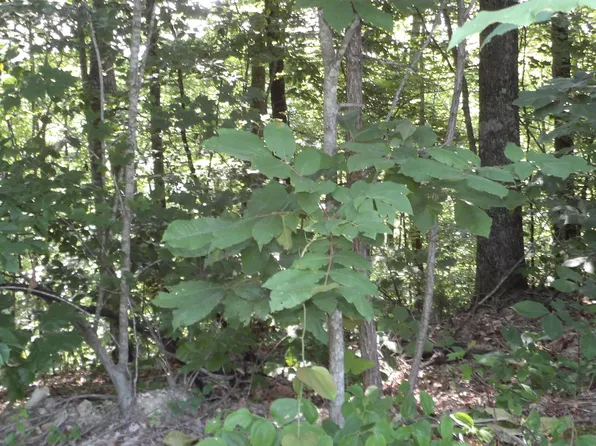Pleasant Hill Cemetery Ln, Gainesboro, TN 38562