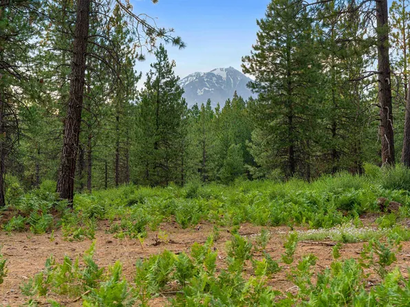LOT Timber Country Ranch Rd #A, McCloud, CA 96057