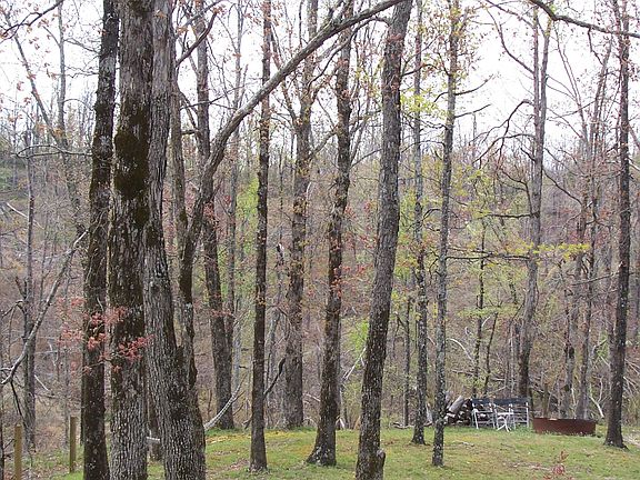 View from back porch