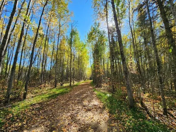 County Road 121, Deer River, MN 56636