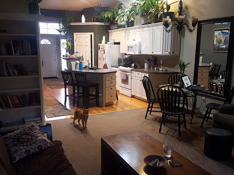 711 S Coral Pl — Photo 4