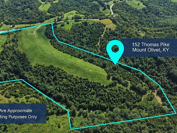 4th image of 152 Thomas Pike