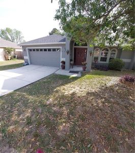 1007 Blue Grass Dr, Groveland, FL, 34736
