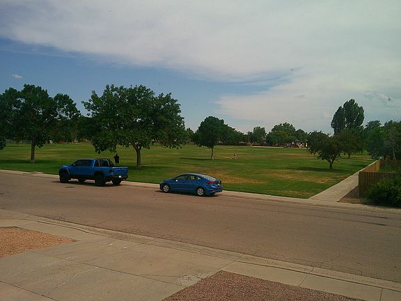 View from Living Room Window