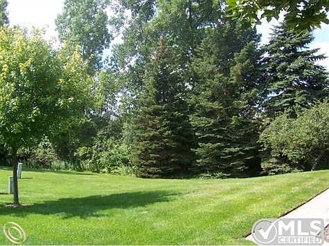 View From Front Porch