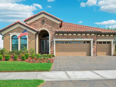 14162 Swiss Bridge Dr, Riverview, FL, 33579
