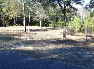 4455 Witch Hazel Rd, Middleburg, FL 32068