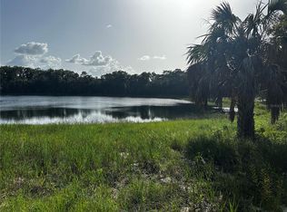 0 Malauka Loop LOT 20, Ocklawaha, FL 32179