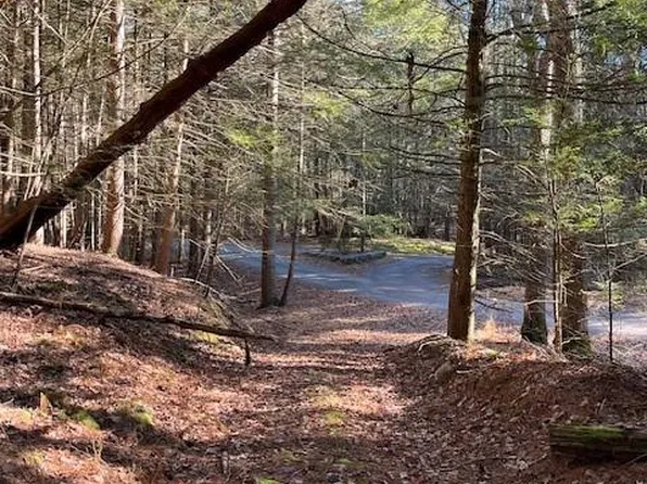 432A Black Forest Road, Glen Spey, NY 12737