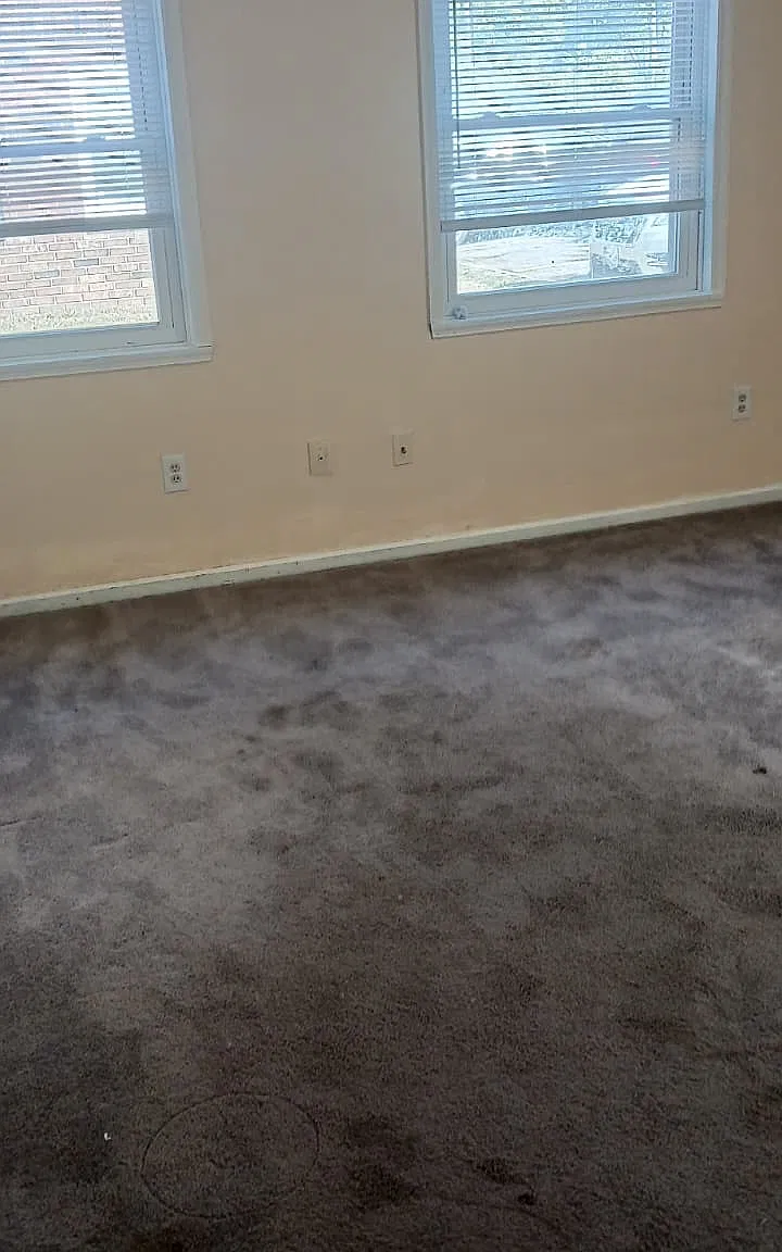 1 bed, 800 sqft, $865 — Photo 3