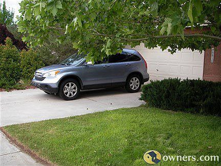 front lawn showing garage