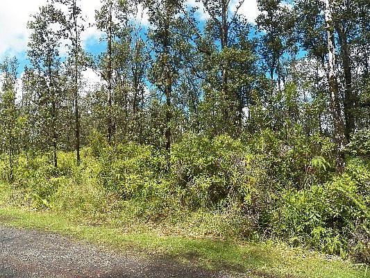 4th image of Orchid Land Dr Lot 101