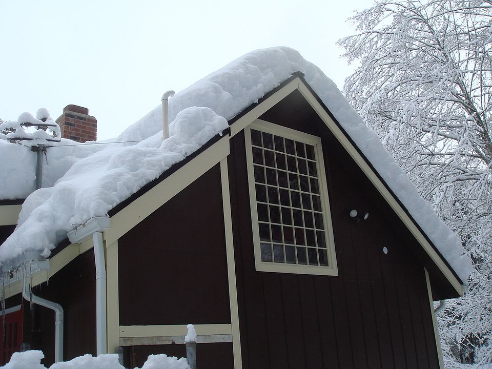 Beautiful in winter