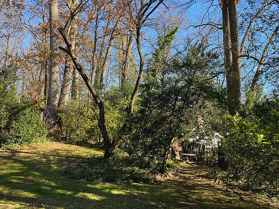 Back yard with red bud tree that blooms in spring.