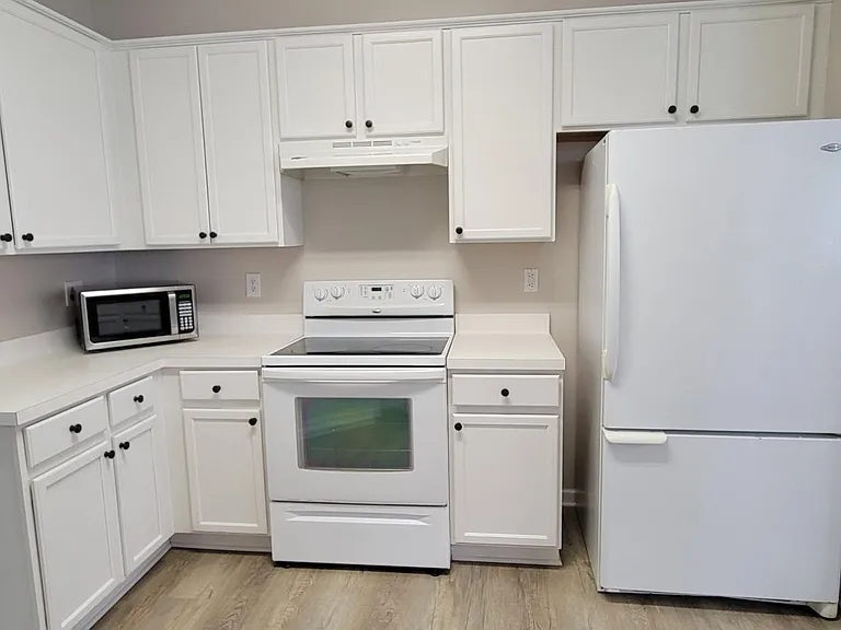 1020 Purple Glory Dr — Photo 3