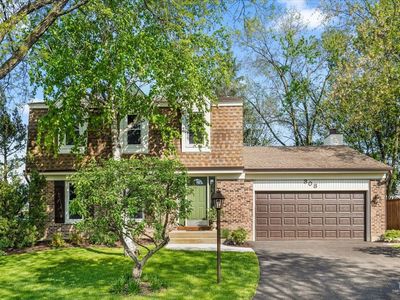 308 Hamstead Ct, Roselle, IL, 60172