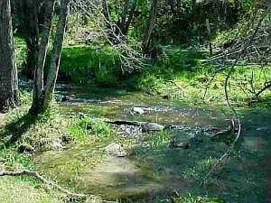 1st image of 133 Acres Off Kitt Narcisse