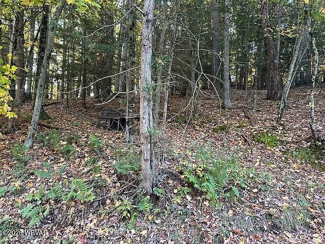 2nd image of 143 Yeagle Rd
