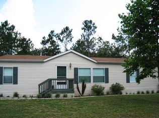 9905 Ramshorn St, Thonotosassa, FL 33592