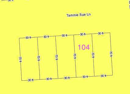 4th image of 104 Tammie Sue Ln