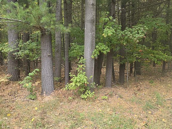 3rd image of 6520 Maple Rd