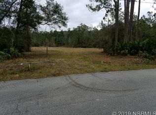 Cone Rd, Ormond Beach, FL 32174